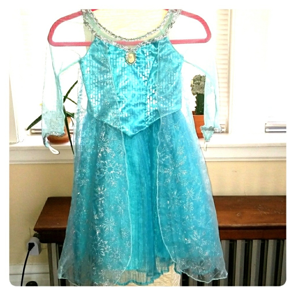 Disney Theme Park Elsa Dress